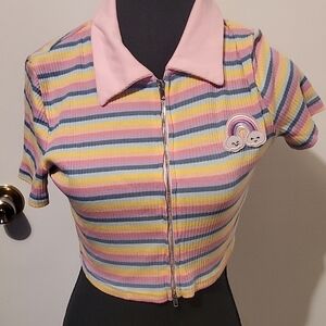 Striped Pastel Cropped Zip-Up Top